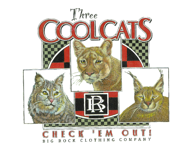 Hoodie Heavy Rock 3 Cool Cats