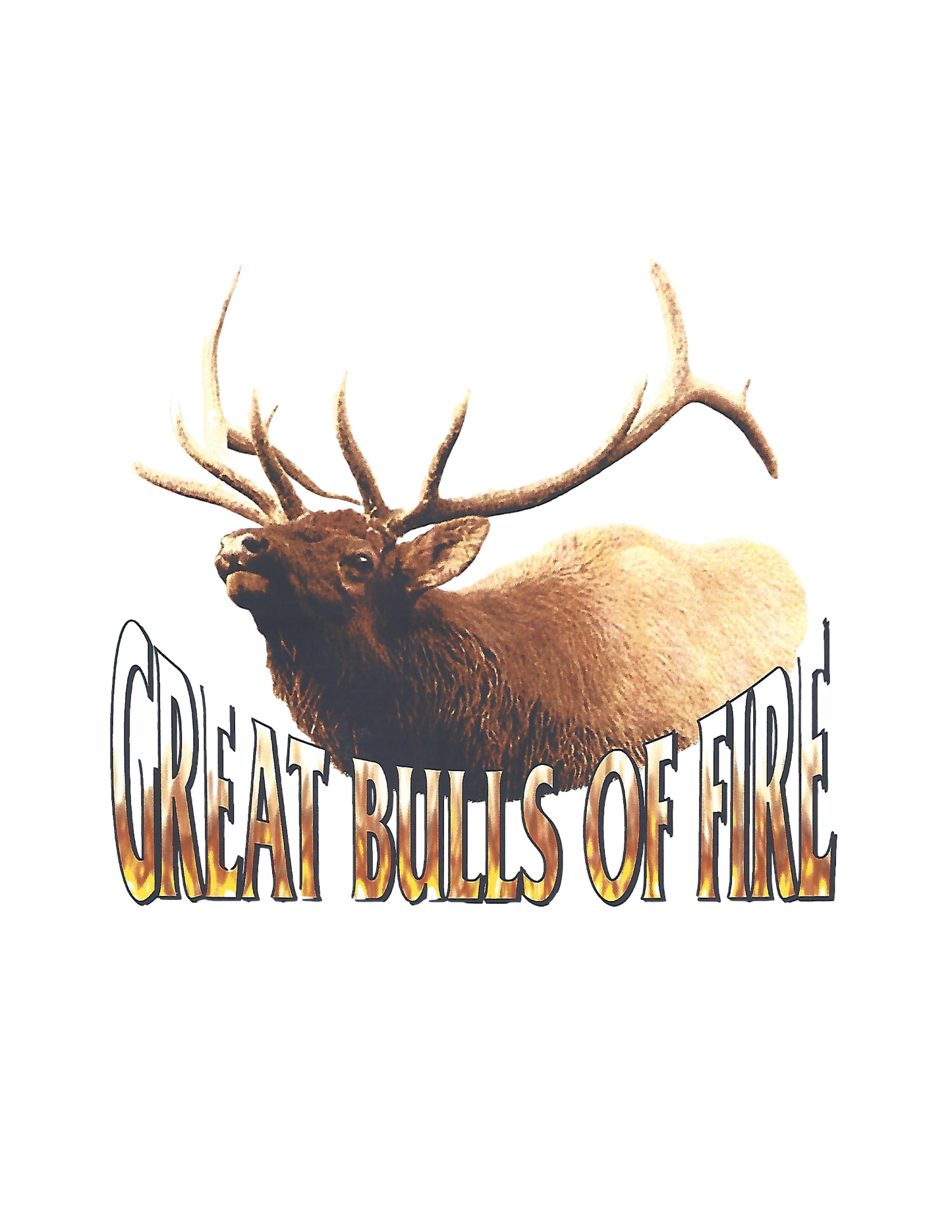 Heavy Rock Great Bulls of Fire