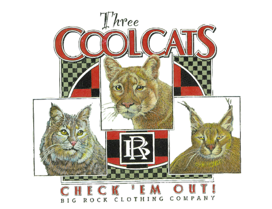 Hoodie Heavy Rock 3 Cool Cats