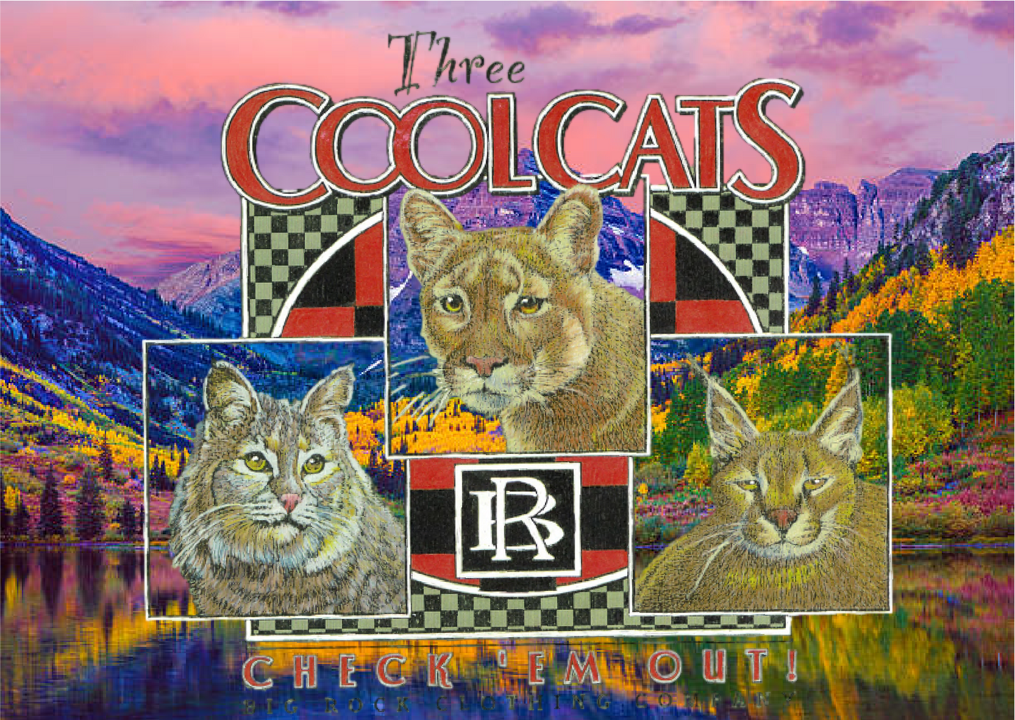 Hoodie Heavy Rock 3 Cool Cats