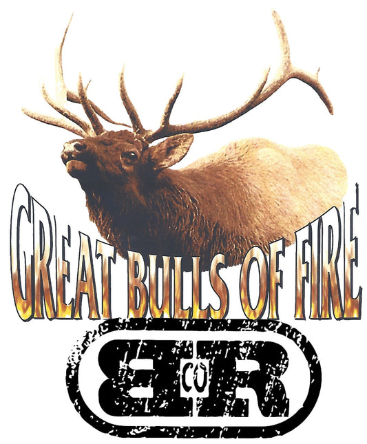 Sweatshirt Heavy Rock Bulls of Fire