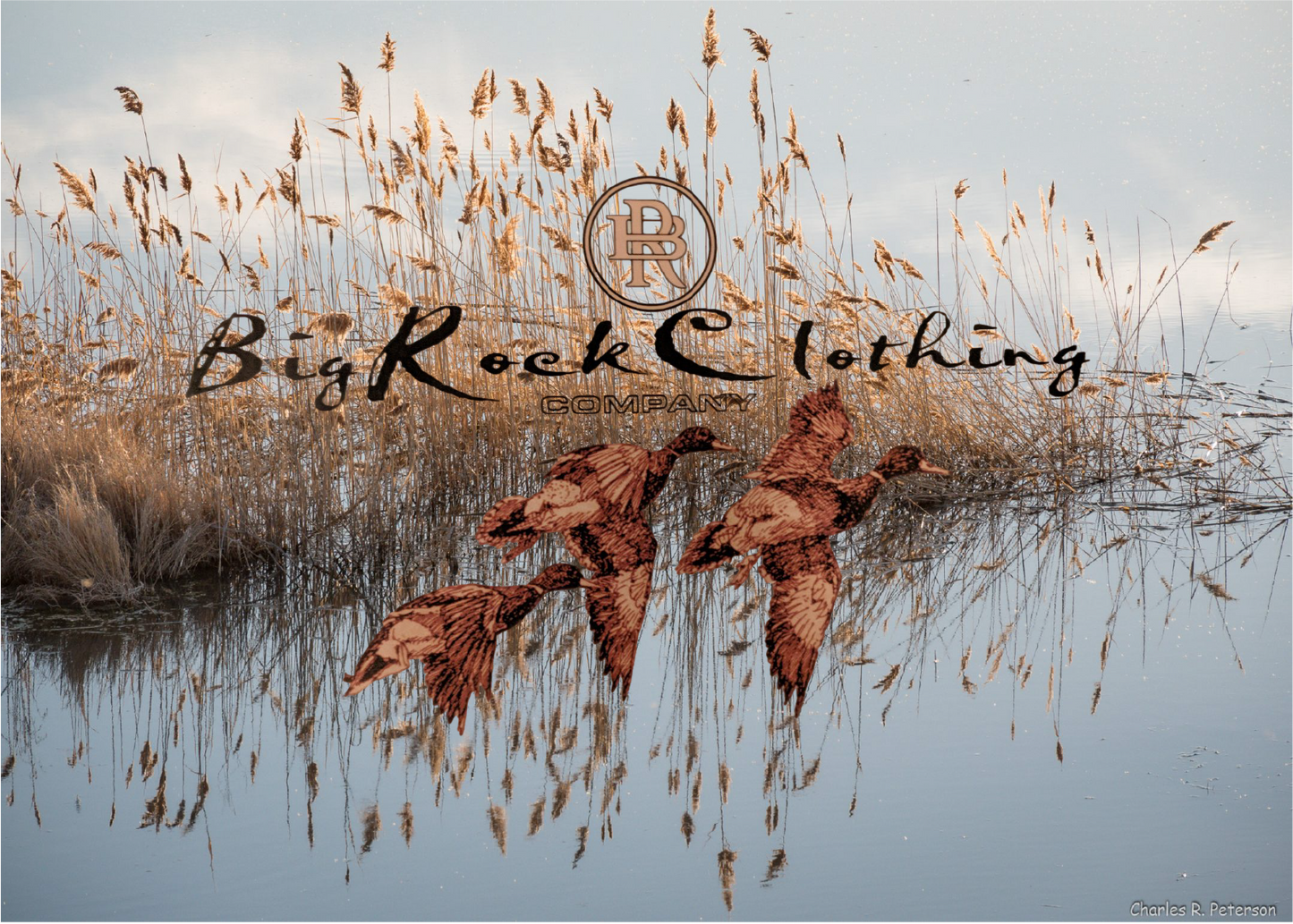 Hoodie Heavy Rock Ducks In Flight