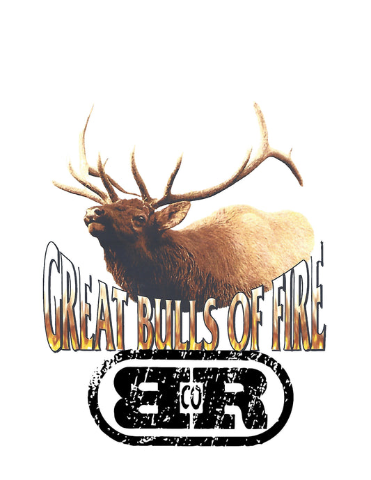 Heavy Rock Great Bulls of Fire